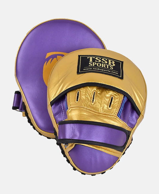 High quality leather boxing focus mitts for professional training sessions