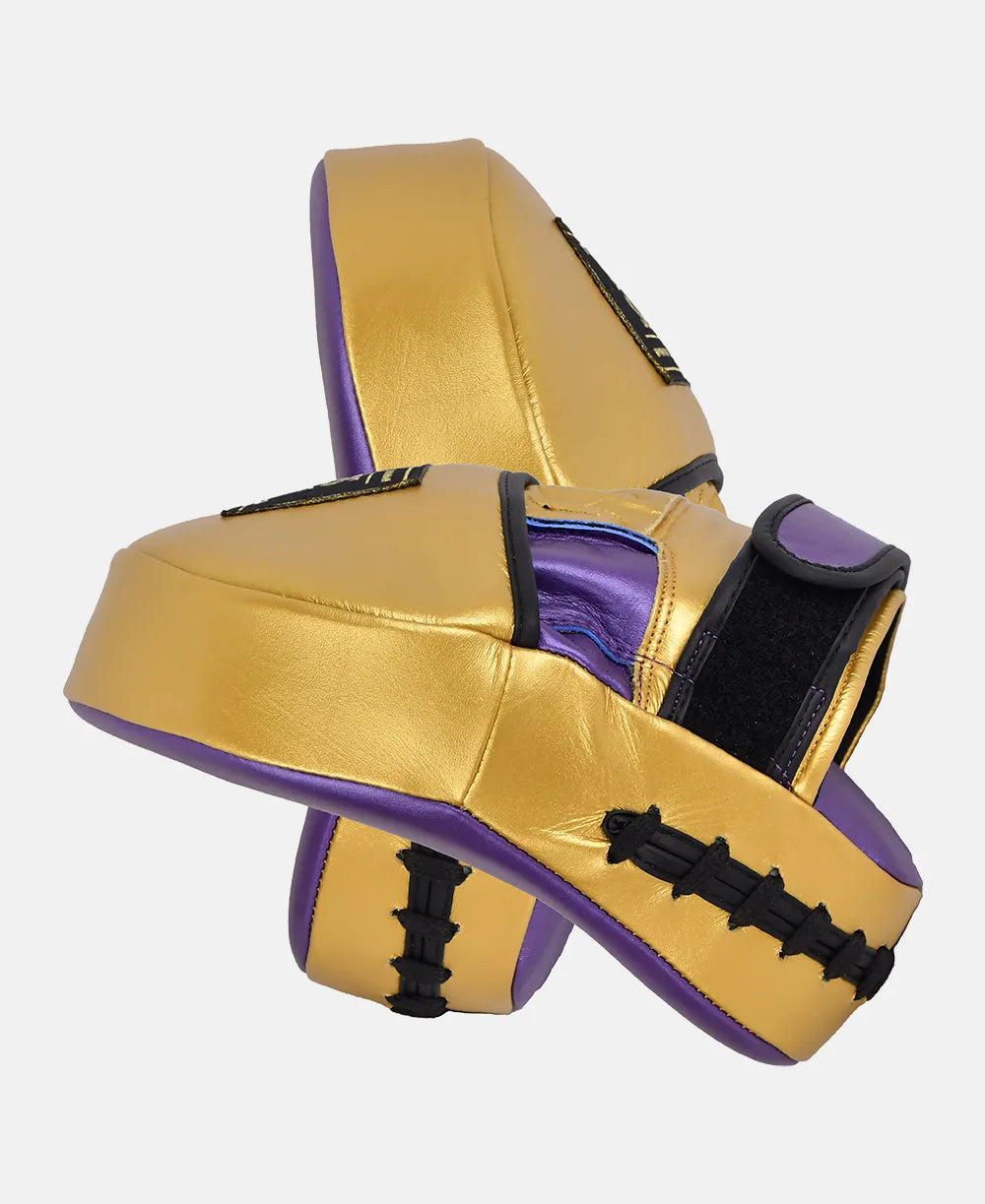 High quality leather boxing focus mitts for professional training sessions