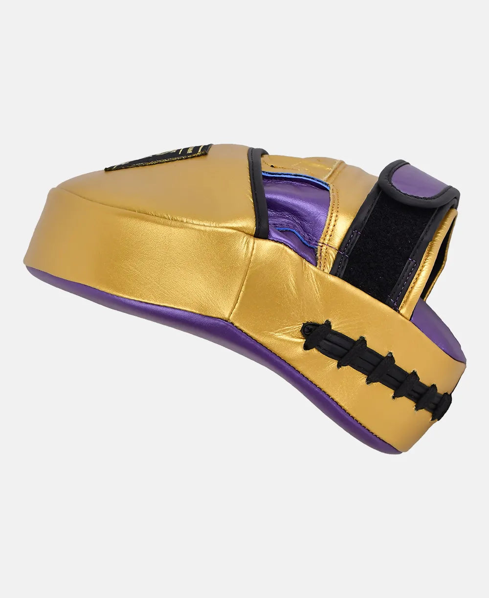 High quality leather boxing focus mitts for professional training sessions