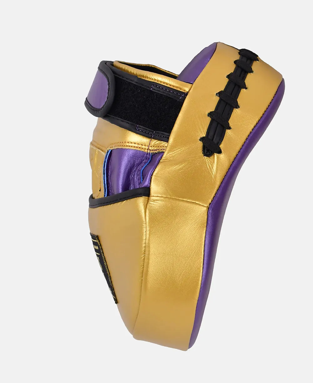 High quality leather boxing focus mitts for professional training sessions