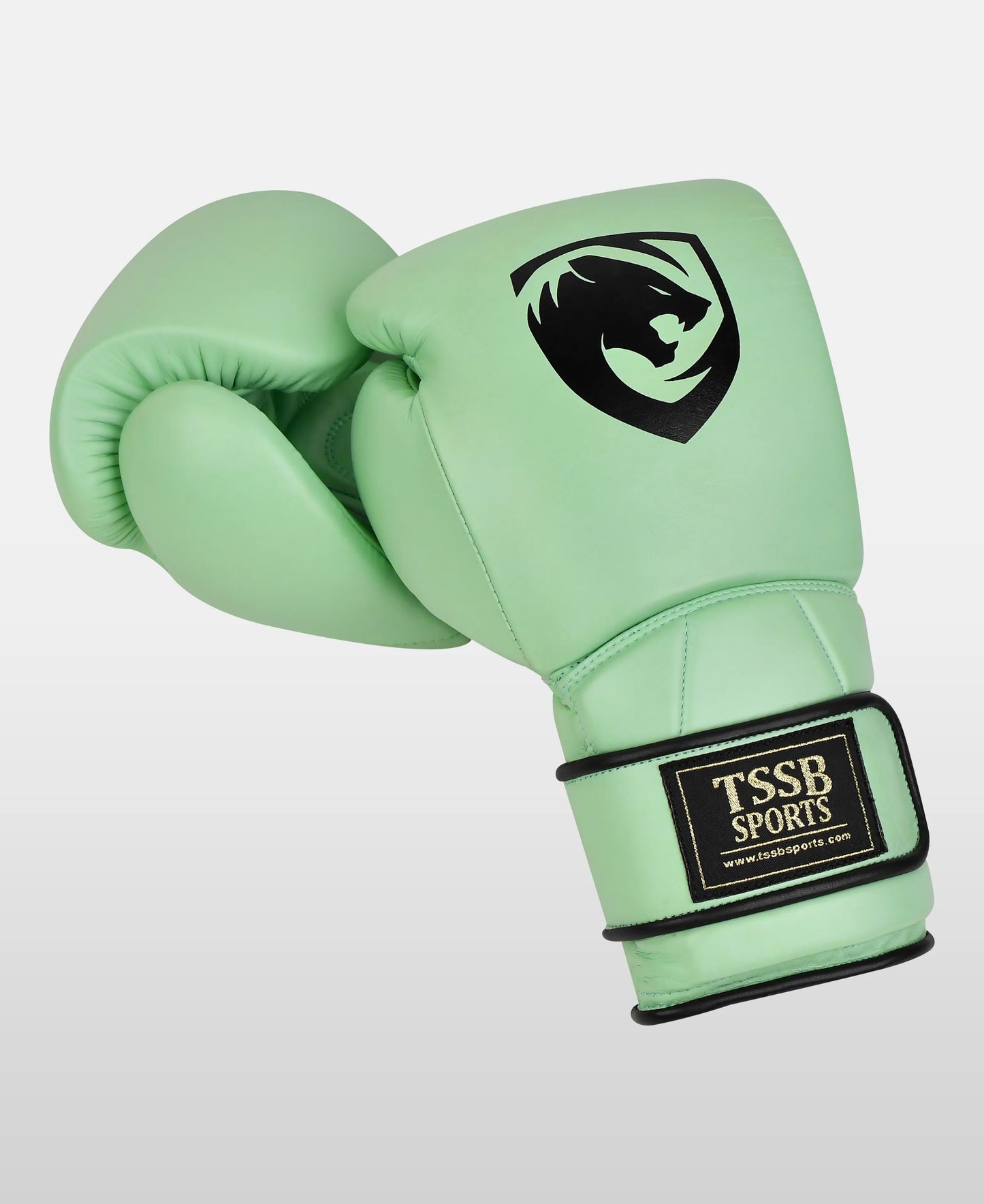 Sparring Gloves in Light-Moss Green – Sleek Leather Boxing Gloves