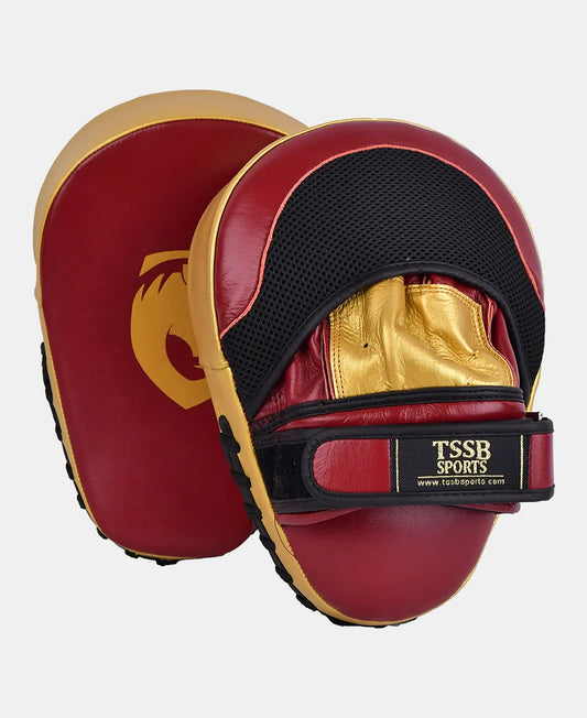 Premium leather focus mitts for accuracy speed and coordination training