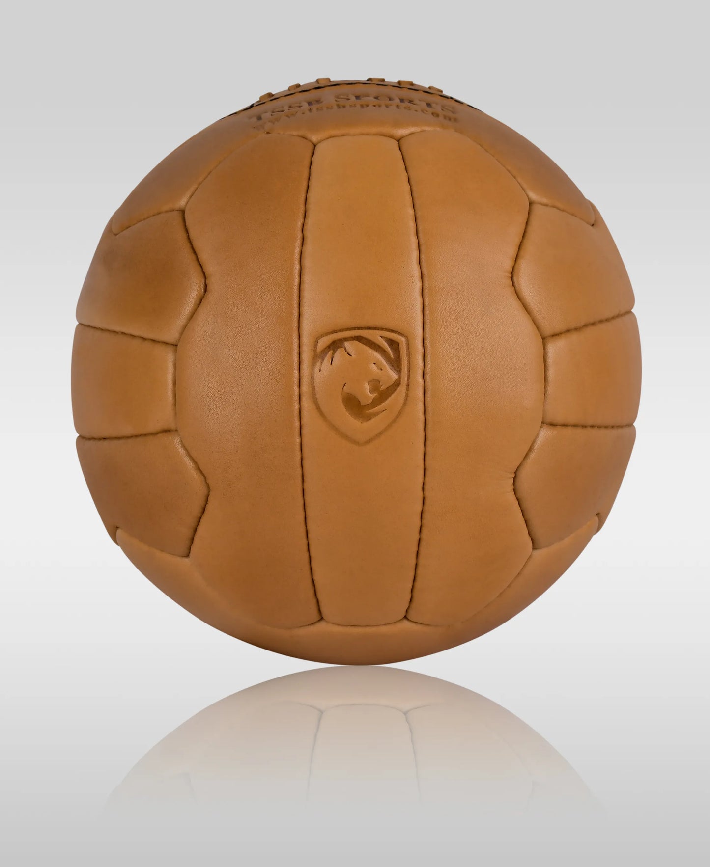 Buy Vintage Brown Custom Football – High-Quality 18-Panel Design